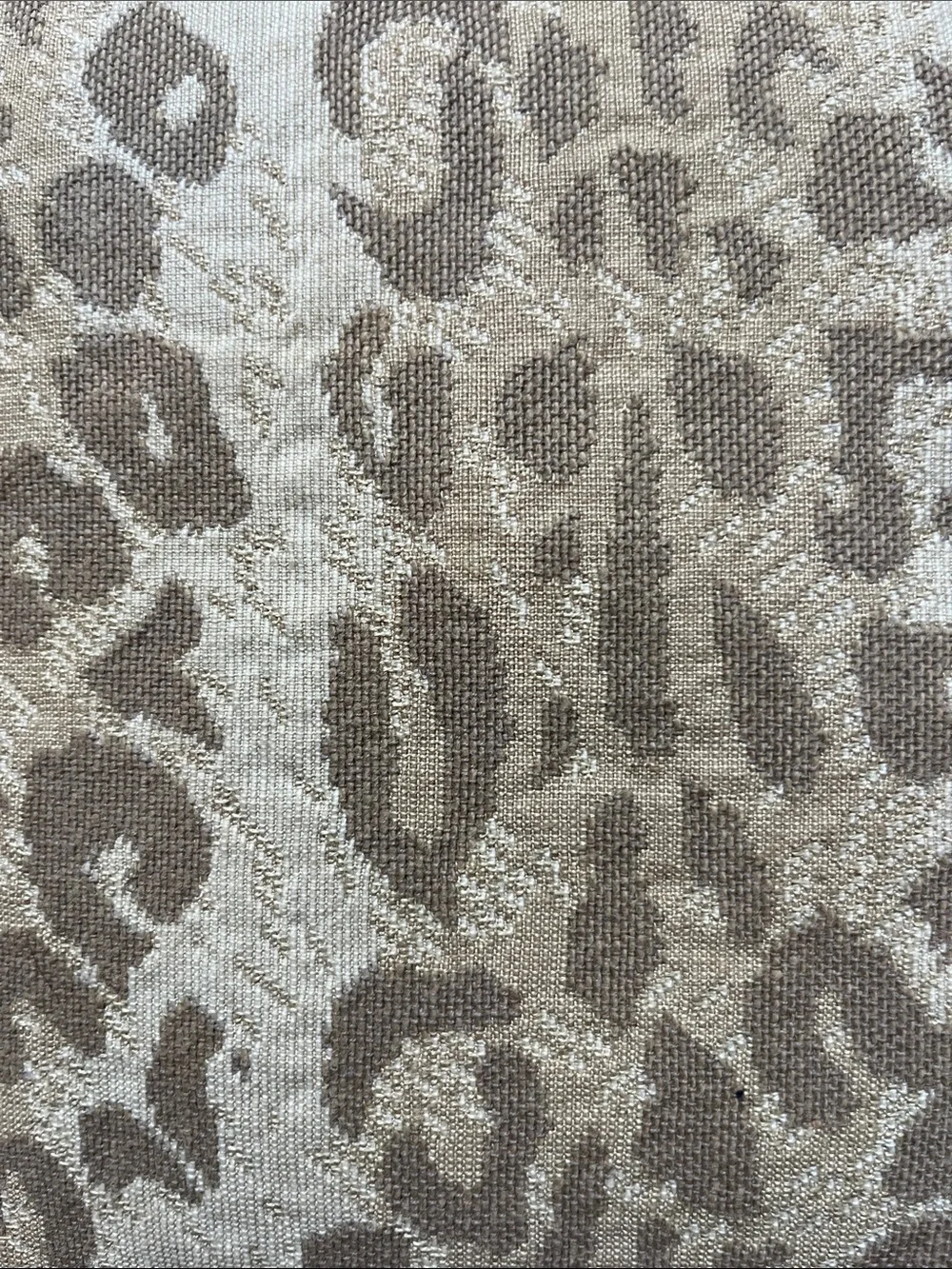 2 Leopard Print Square Throw Pillows Neutral Animal Print Accent Cushion Beige